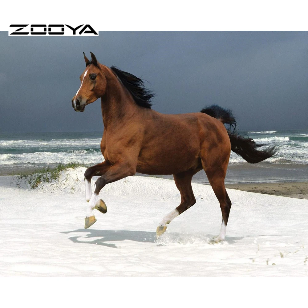 животные лошади. конь. гнедой жеребенок. аргамак скакун. что такое лошадиный корпус.