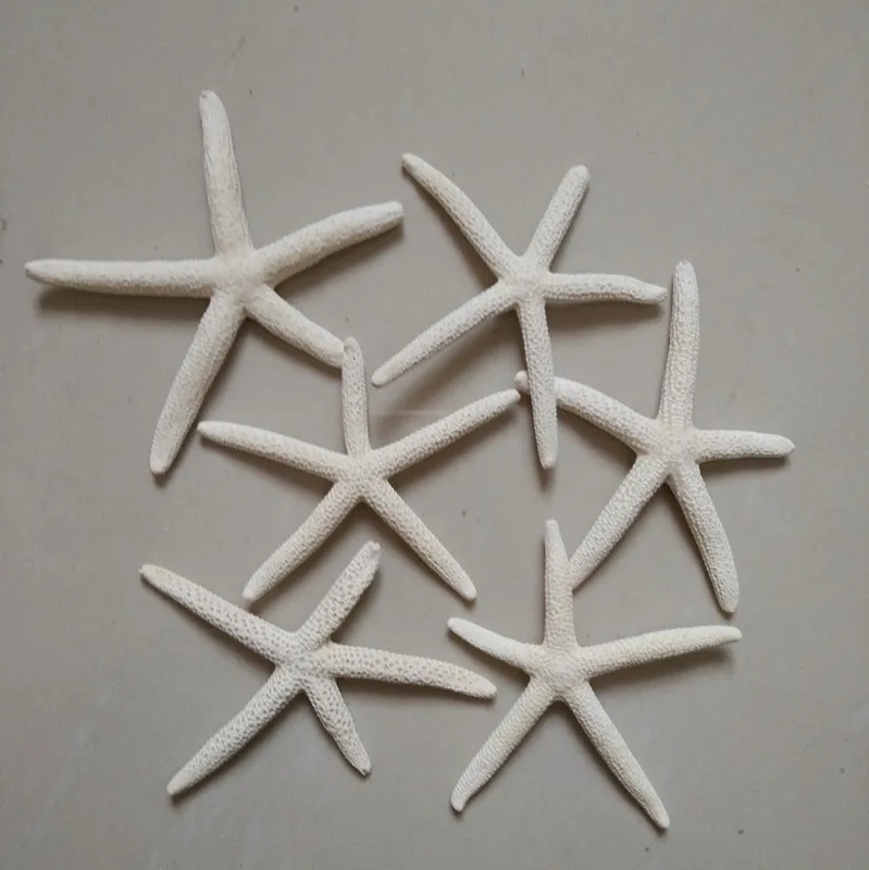 8_