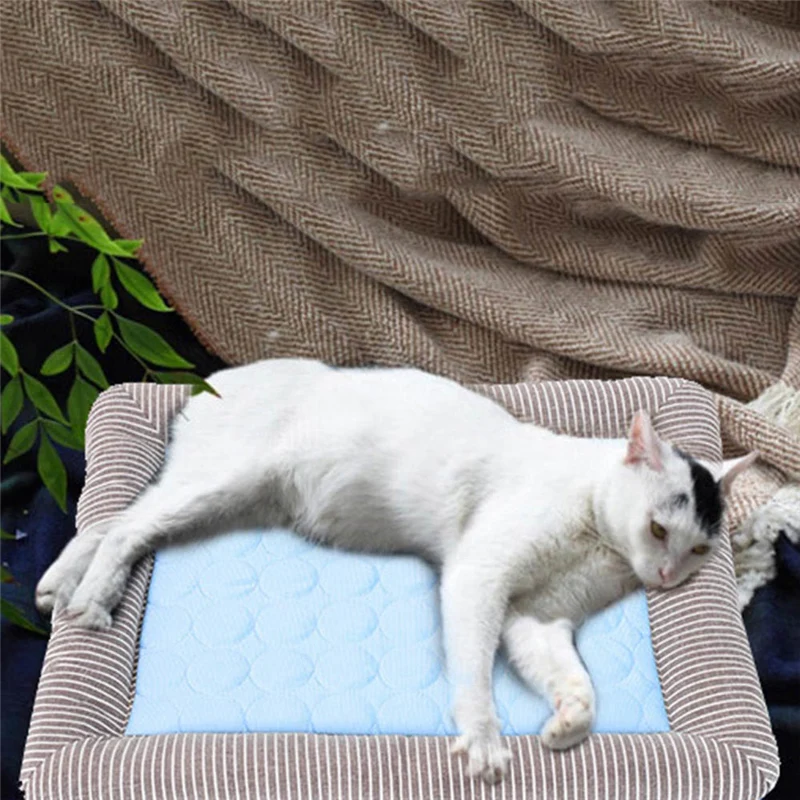 Articles Pour Chat Medium Turquoise Rectangle Pet Lit