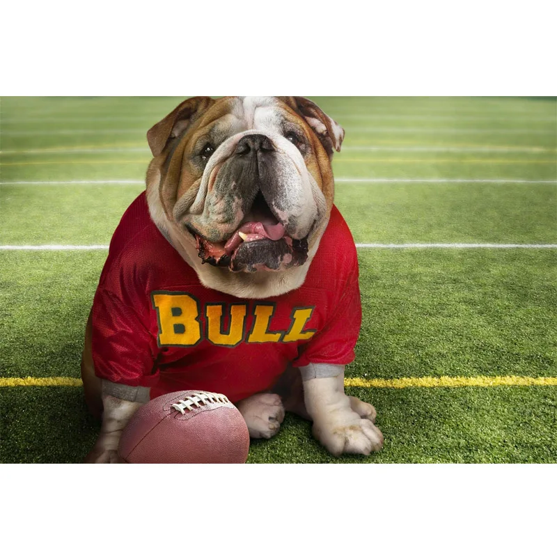 

New Needlwork full embroidery painting cross stitch animal diy diamond painting kits cross stich Square diamond painting Bulldog