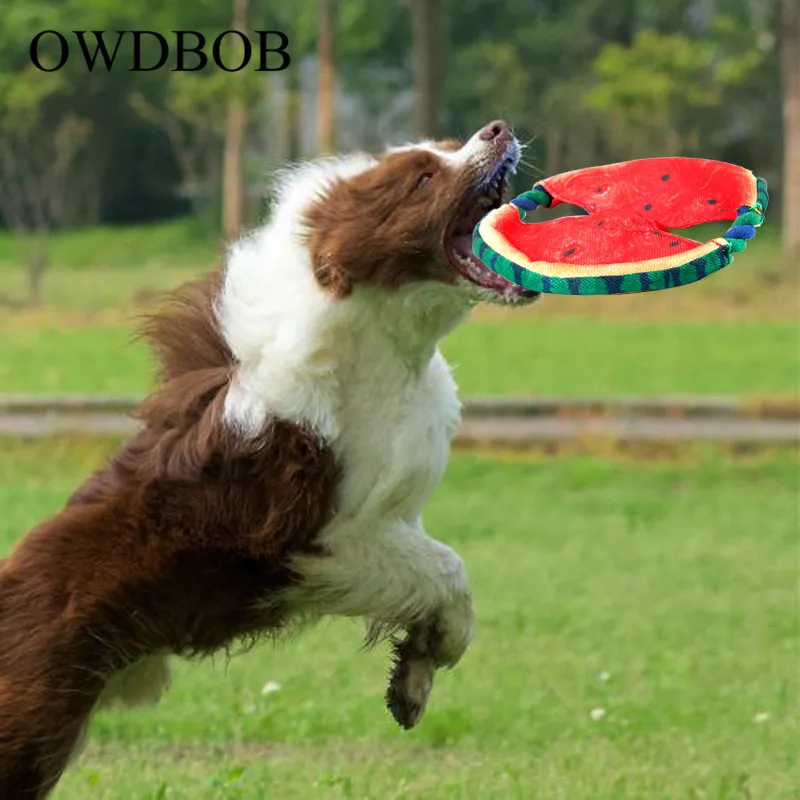 OWDBOB الكلب تحلق أقراص لعبة المقاومة دغة المطاط Frisbie لعب للكلاب ترينينج التفاعلية لعب مضغ للكلاب الحيوانات الأليفة لوازم