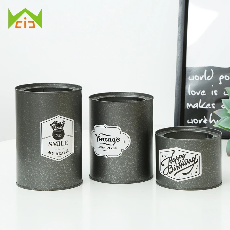 

WCIC Decoration Succulent Plant Pot Nursery Pot Planter Creative Painting Iron Storage Container Tinplate Metal Flower Pot