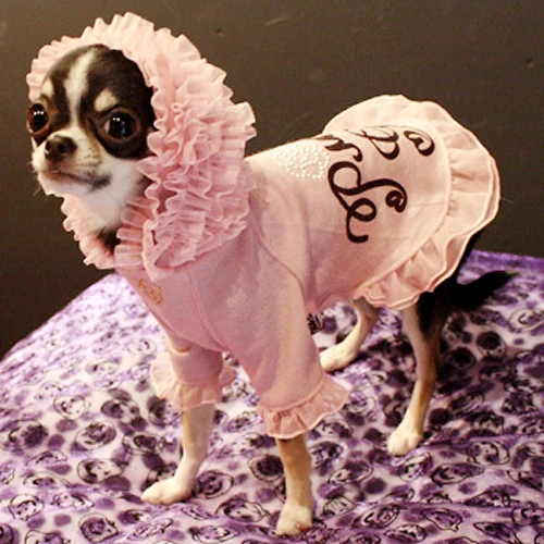 Одежда для собак, свитер, шифон, принцесса, кружево, трикотаж, с капюшоном, для домашних животных, трость, vestiti ropa perro mascotas roupa cachorro