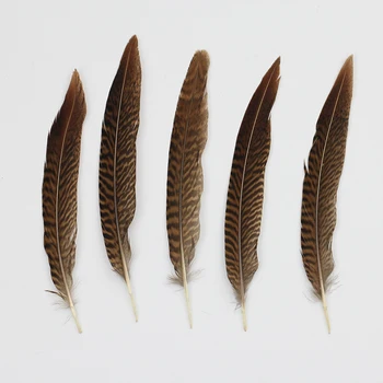 

4-8 Inch(10-20 cm)Wholesale High Quality Dark Patterned Pheasant Tail Feather