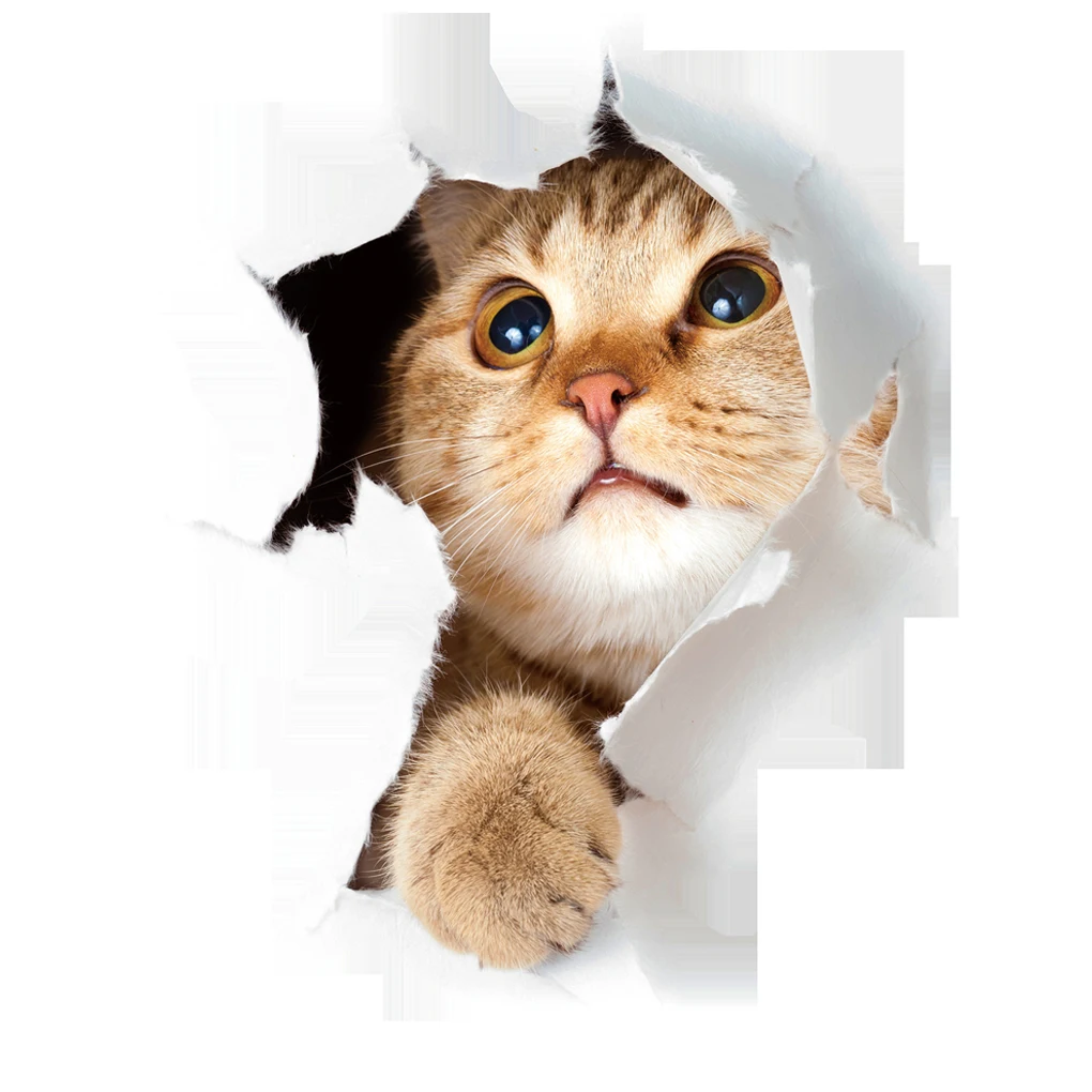 Горячая 3D милый котенок наклейка на крышку унитаза дети спальня стены Deocration Кот мультфильм наклейки на холодильник - Цвет: NO.1