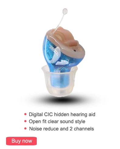 2 channel CIC