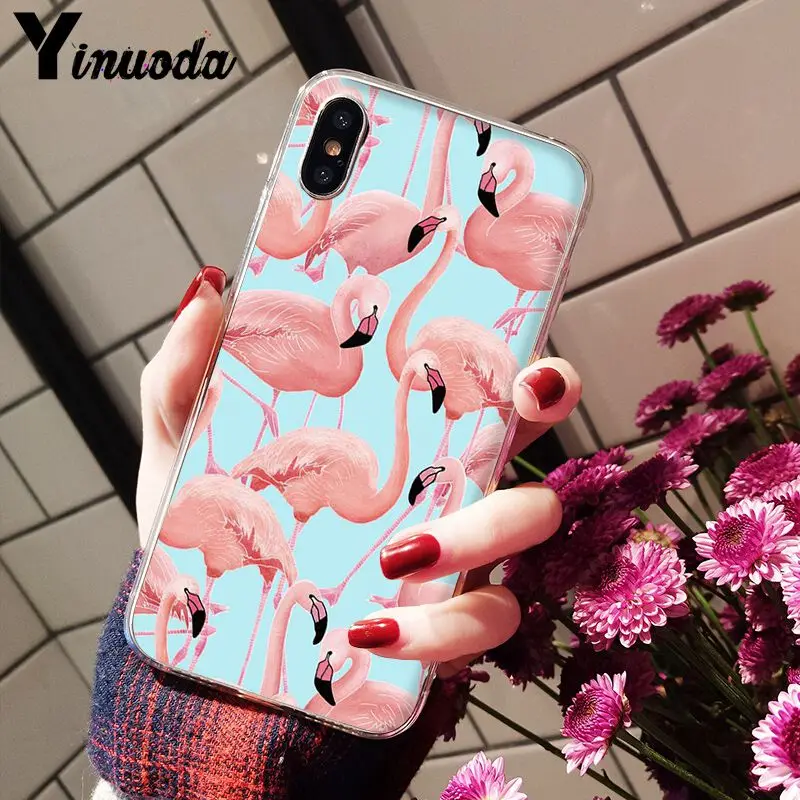 Flamingo Cute Animals Birds