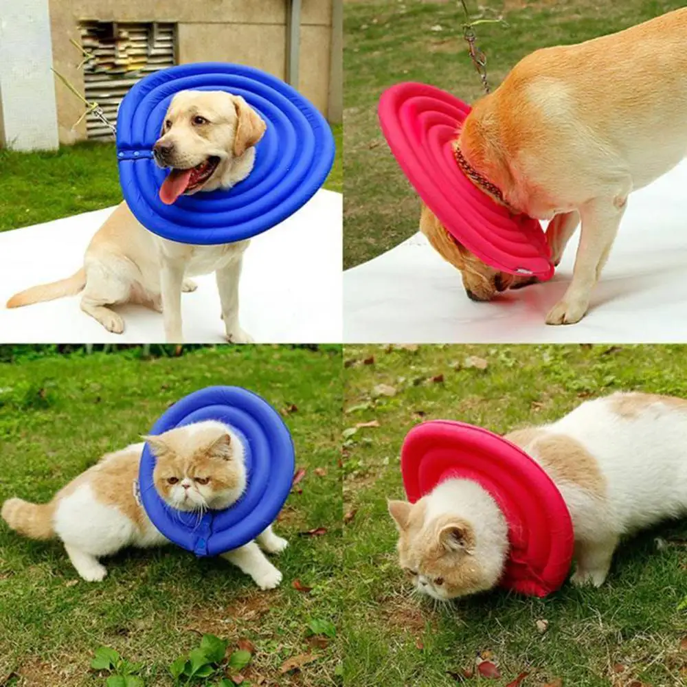 HTB17N5LwAOWBuNjSsppq6xPgpXai