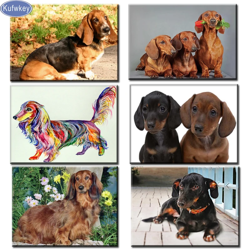 

new arrivals 5d diy Diamond Painting Professor Dachshund cross stitch kit diamant painting dog pet,diamond dots home decor gift
