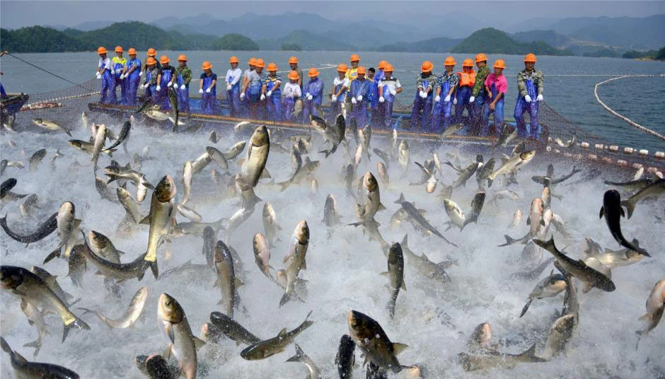 Carretel de Pesca de Freio Direita de Gotas de Água de Pesca Roda de Carretel de Arremesso 12 + 1 Fio de Metal à Esquerda e Mão Eixo Magnético Copo yu Tai 2 de Metal À Esquerda E Mão Direita