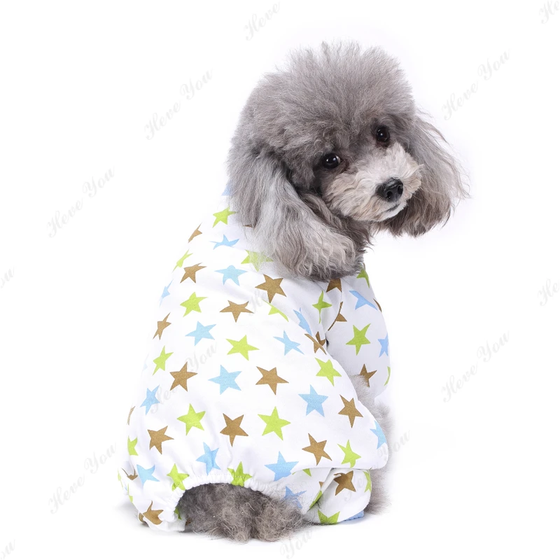 Dog_2209