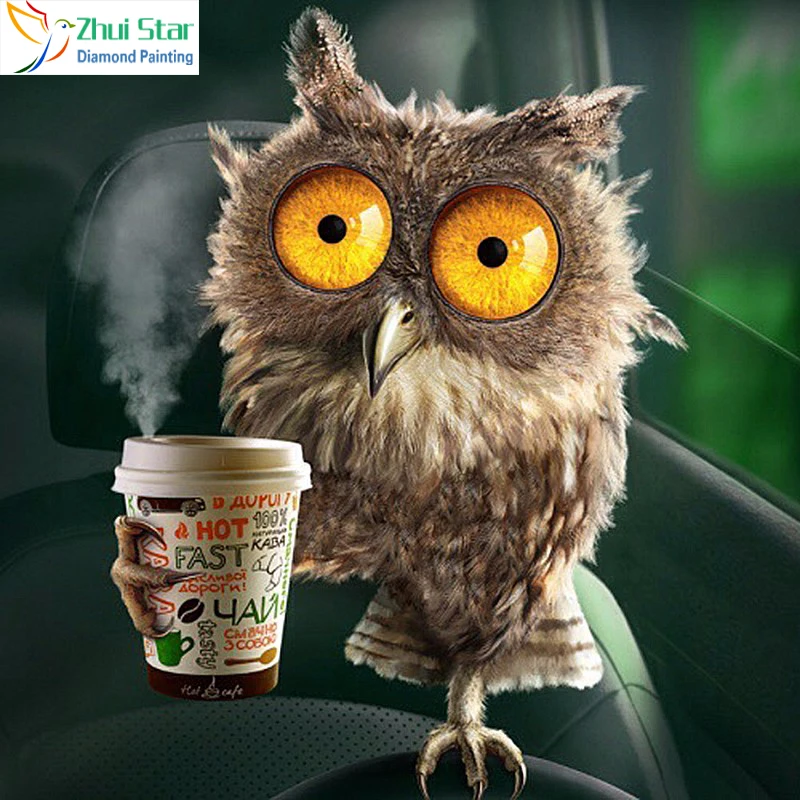 HTB1o63xNVXXXXcvapXXq6xXFXXXG 