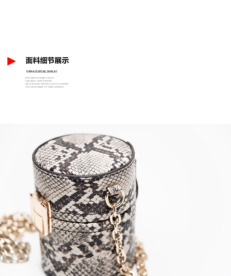 

Mini Chain Bag Foreign Fashion Snake Pattern Moving Grain Printing Mini Lipstick Coin Messenger Shoulder Bags Totes Handbag