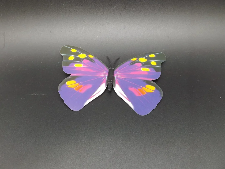 I193-Butterfly (5)