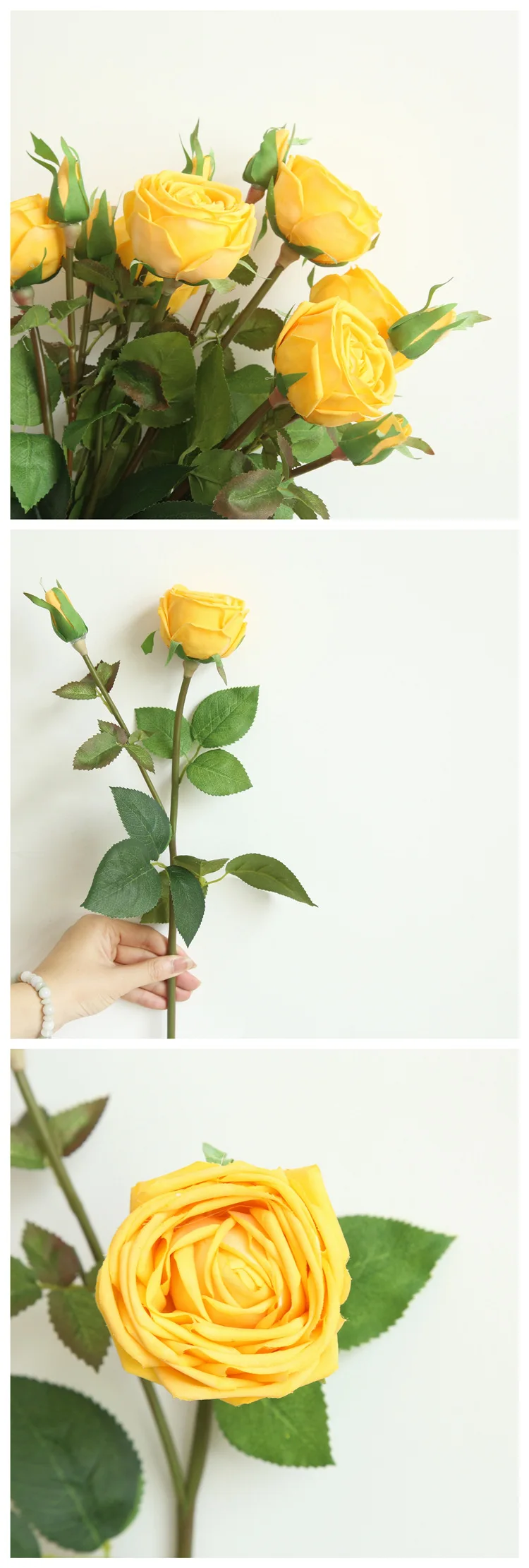 9194610194_855737144