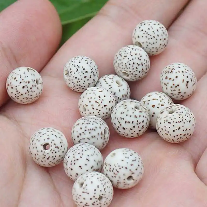 

TSB0537 Natural Original White Star Moon Lotus Bodhi Seeds Round 10 Beads 8-9mm