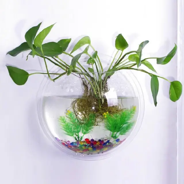 XS/S/M Transparent Wall Hanging aquarium Acrylic Fish Bowl Home DIY ... XS/S/M Transparent Wall Hanging aquarium Acrylic Fish Bowl Home DIY ...