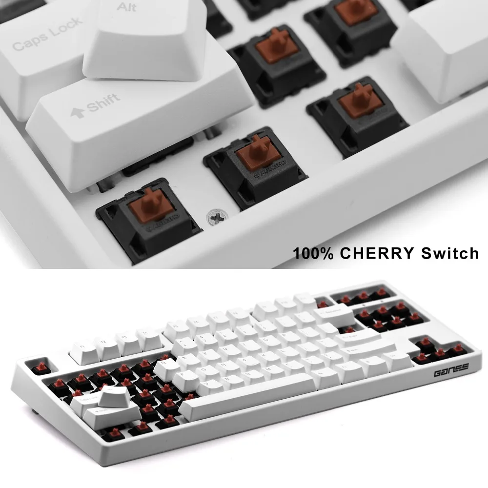 

[Cherry MX Brown Switches] Mechanical Keyboard TKL 87 Key USB Wired Gaming Keyboard For Desktop Laptop (QWERTY-Layout) - White
