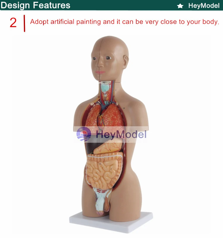 2. _