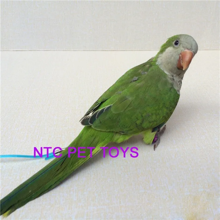 TB2Ni9WbFXXXXXvXXXXXXXXXXXX_!!357916366