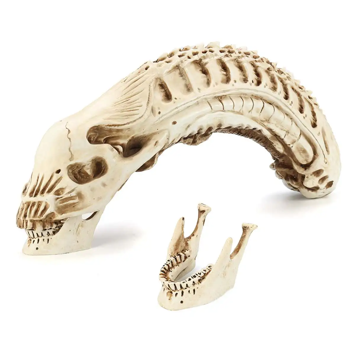 

Xenomorph Alien Movie Model Skull Resin Sketch Holloween Home Bar Decor Prop School Educational Medical Science Teaching Supply