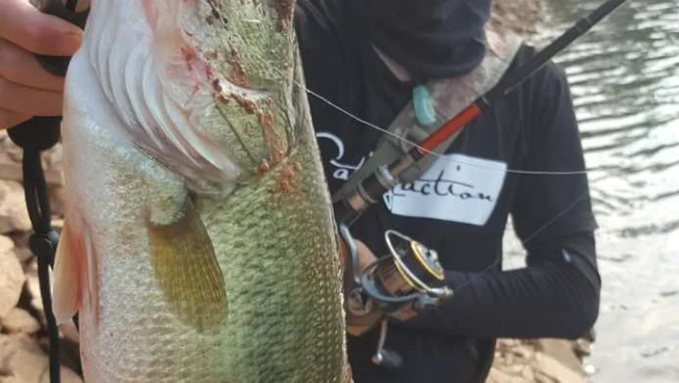TSURINOYA, 76 мм, 8,5 г, 3D приманка с крюком, приманка для рыбалки, Iscas Artificiais Para Pesca, Peche, воблер