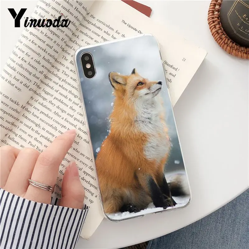 fox is sleeping