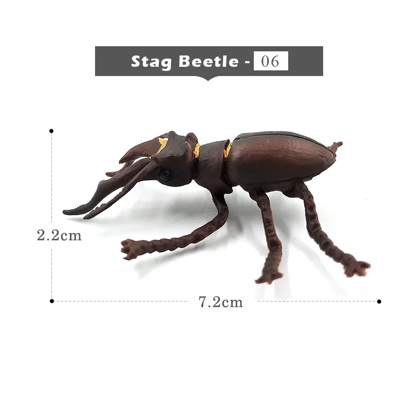 Имитация животных модель насекомое олень Жук паук пчела Божья коровка мантис бабочка фигурка домашний декор украшения Аксессуары - Цвет: Stag-Beetle