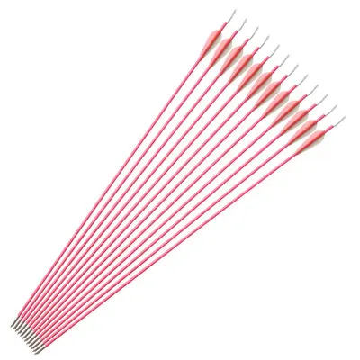 

6/12 pcs/lot Length 31'' Spine 800 OD 6mm Fiberglass Arrow for Recurve Bow Archery Shootting