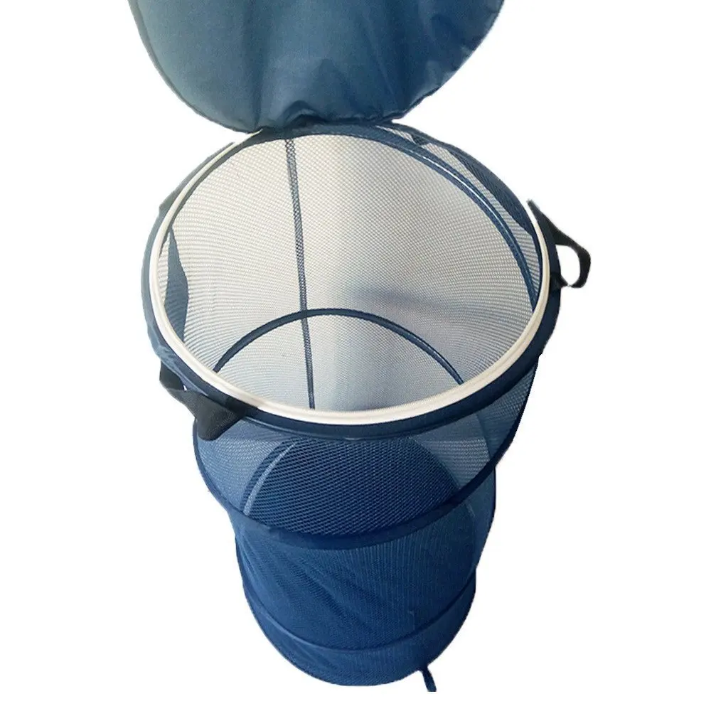 61qfx%2BeV4NL._SL1000_