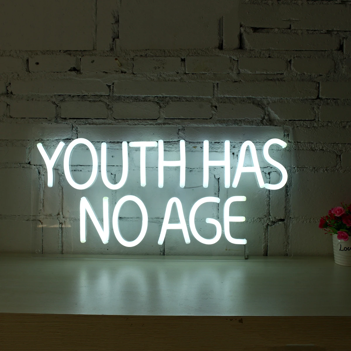 

DC 12V YOUTH HAS NO AGE Neon Art Sign Handmade Visual Artwork Wall Decor Light LED Illuminated Signboard