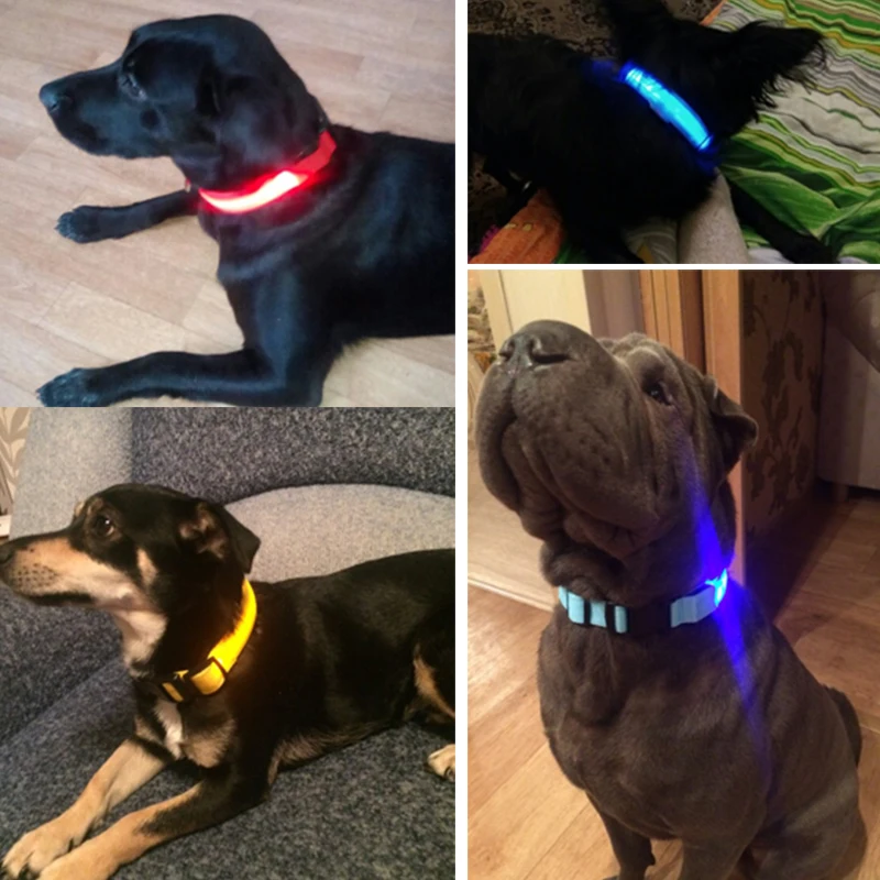 Pet Dog LED Collar Light up Flashing Glow in The Dark Safety Nylon Night Puppy Collar Lead 