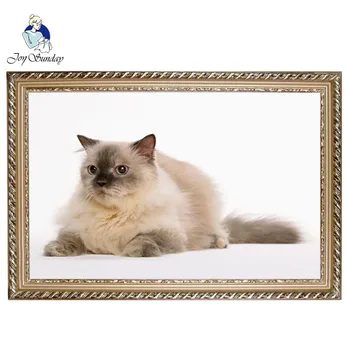 

JOY SUNDAY Needlework,DIY DMC Cross stitch,11CT,14CT Sets For Embroidery kits,Big grey cat threads Counted Cross-Stitching