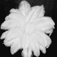Groothandel natuurlijke Harde staaf 100 stuks witte Struisvogelveren 70-75cm28-30 ''Bruiloft Verjaardag Christmas Decorations Gratis Verzending