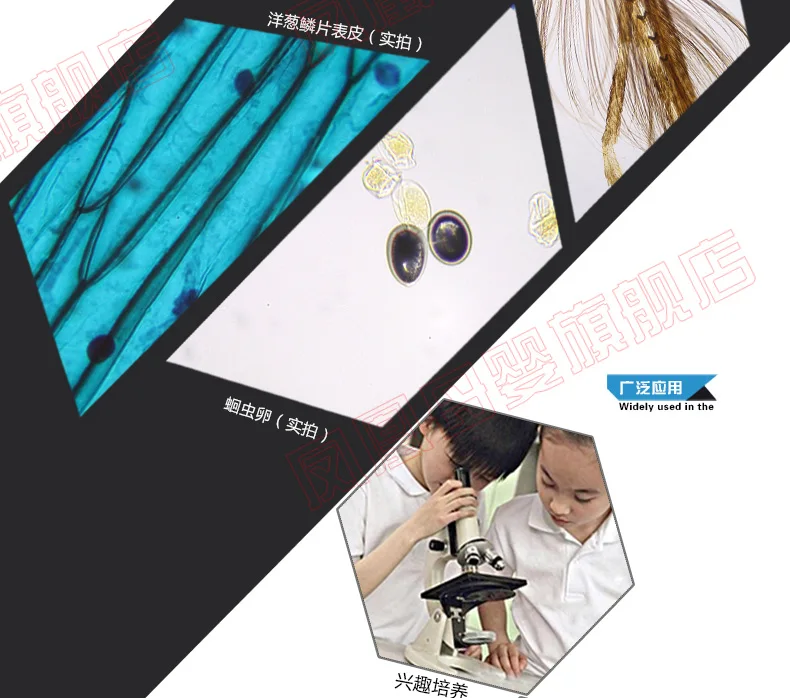 XSP-06 8