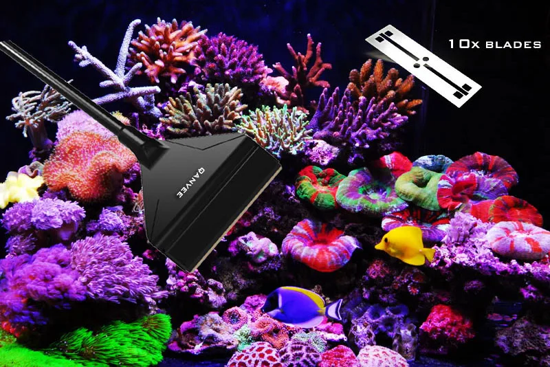 

Maintenance algae cleaner remove aquarium stainless Steel glass erasing knife with replacement blades without blind angle