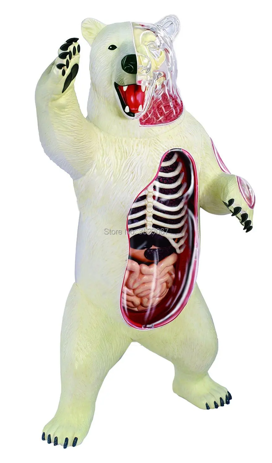 HTB1KQoEIFXXXXXGXFXXq6xXFXXX3