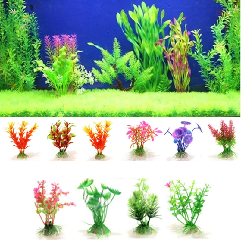 Aquatic Plants Fish Tank Water Plant