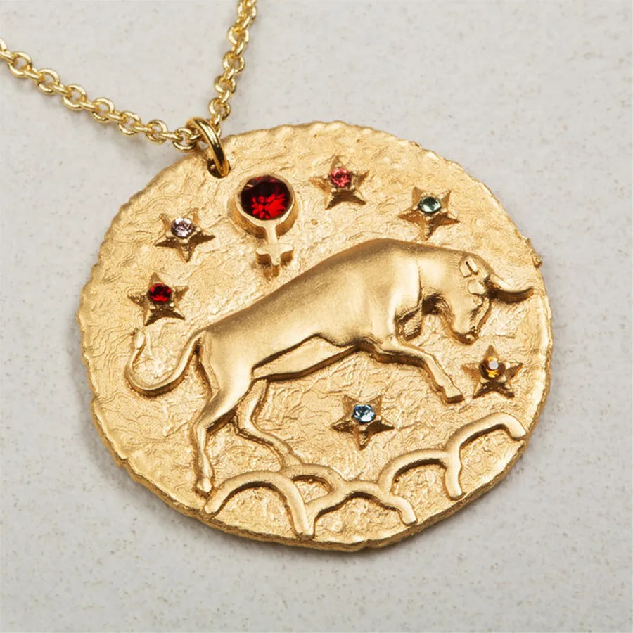 Ckysee-Gold-Color-Zodiac-Sign-12-Constellations-Round-Disc-Pendant-Necklace-For-Women-Couple-Choker-Statement (5)