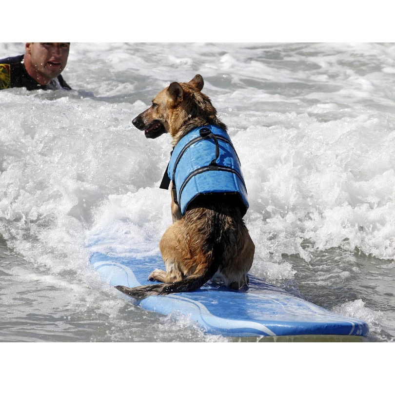 2017 New Pet Dog Swimming Life Jacket Preserver Safety Vestdog swimpet dogdog life vest