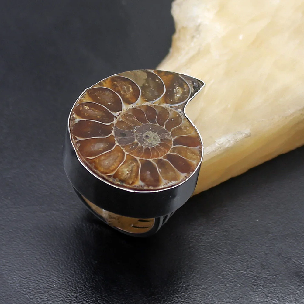 

Unique Jewelry Natural Ammonite Fossils 925 Sterling Silver Fashion Jewelry Band Ring Size 7 A16 Free Shipping