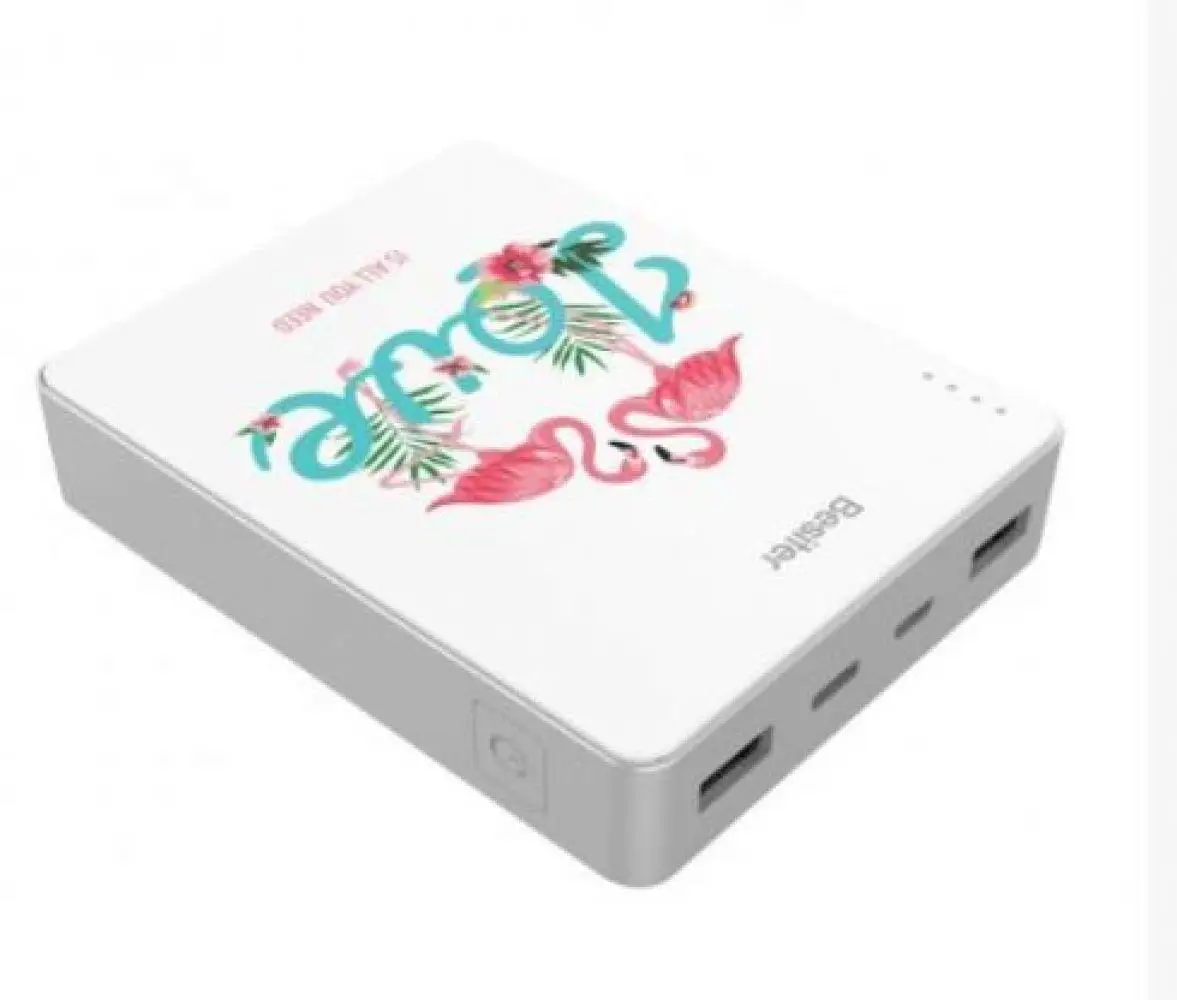 10000 mAh Large Capacity Fashion New Powerbank Output Power Bank Portable Charger External Battery for MP4 Xiaomi MI iPhone