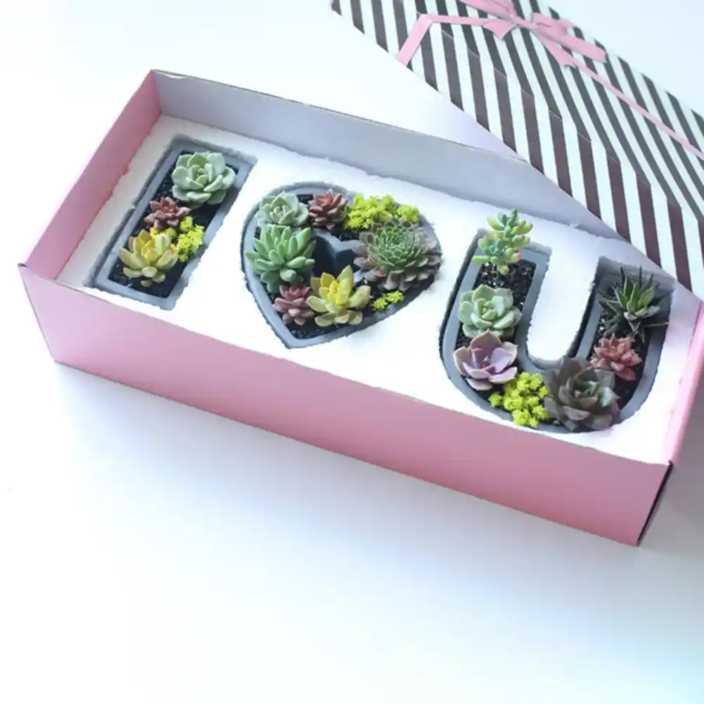 I Love You Series Succulent Plant Pot Mould Diy Handmade Cement Creative Cartoon Shaped Flower Pot Set Silicone Mold Craft Co Soap Molds Aliexpress