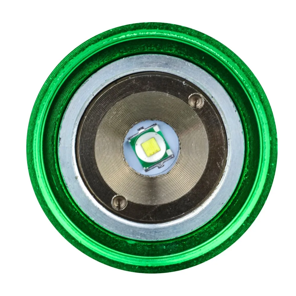 torch (16)