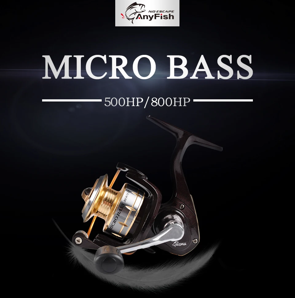 MICRO-BASS_01