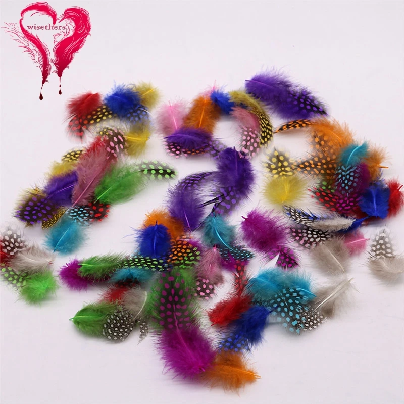 11 multicolor guinea fowl feather 3