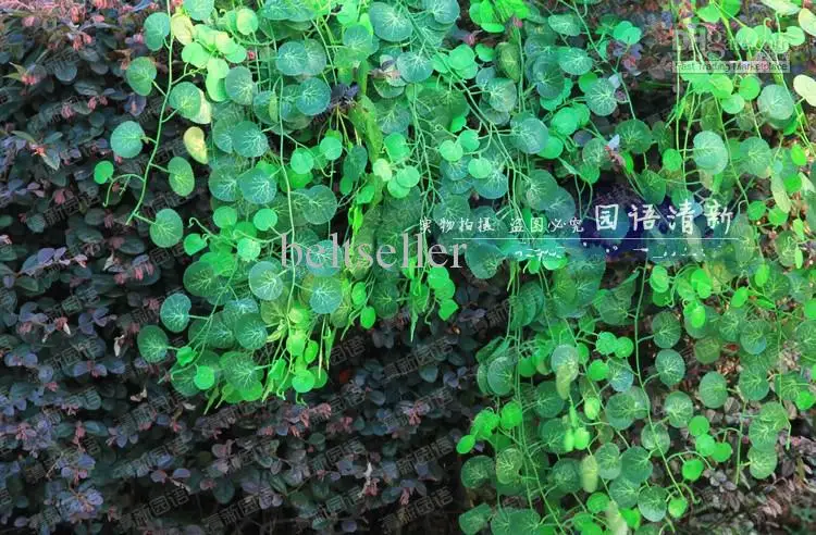  Length of 250 cm Artificial Silk begonia Simulation Climbing Vines Green Leaf Ivy Rattan for Home Decor Bar Restaurant Decoration