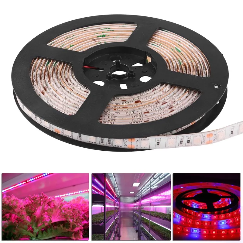 led grow light