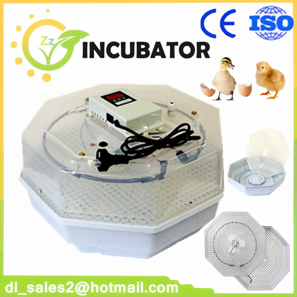 Best price holding 60 chicken incubator egg hatching machine home use
