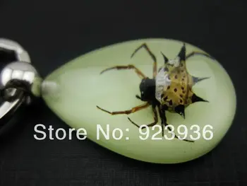 

FREE SHIPPING 20 PCS NEW REAL SPINY SPIDER GLOW KEYRING INSECT KEYCHAIN GIFT
